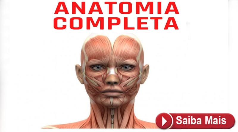 curso anatomia completa