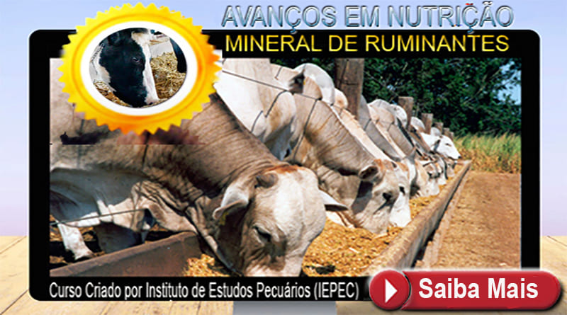 Avanços em Nutrição Mineral de Ruminantes