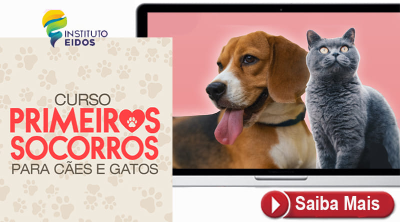 Primeiros Socorros Para Cães e Gatos