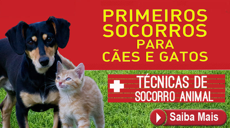 Primeiros Socorros para Cães e Gatos