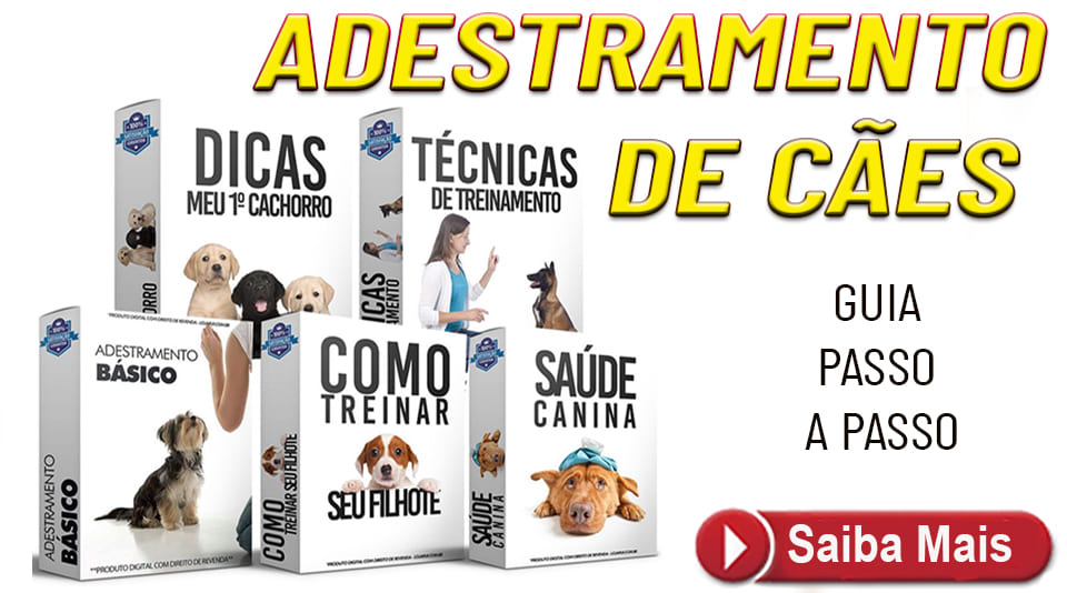 Adestramento de Cães em Casa