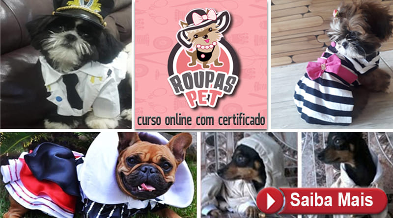 Curso de roupas para seu pet