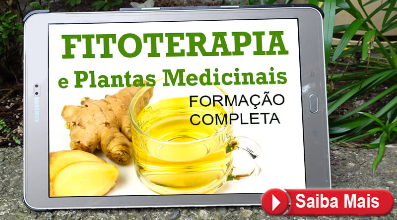 Curso Fitoterapia Medicina Natural Alternativa