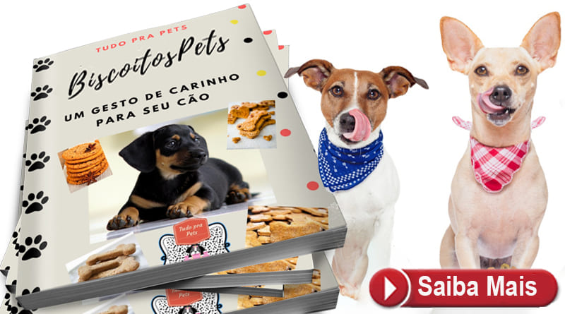 Receitas Biscoitos Pets