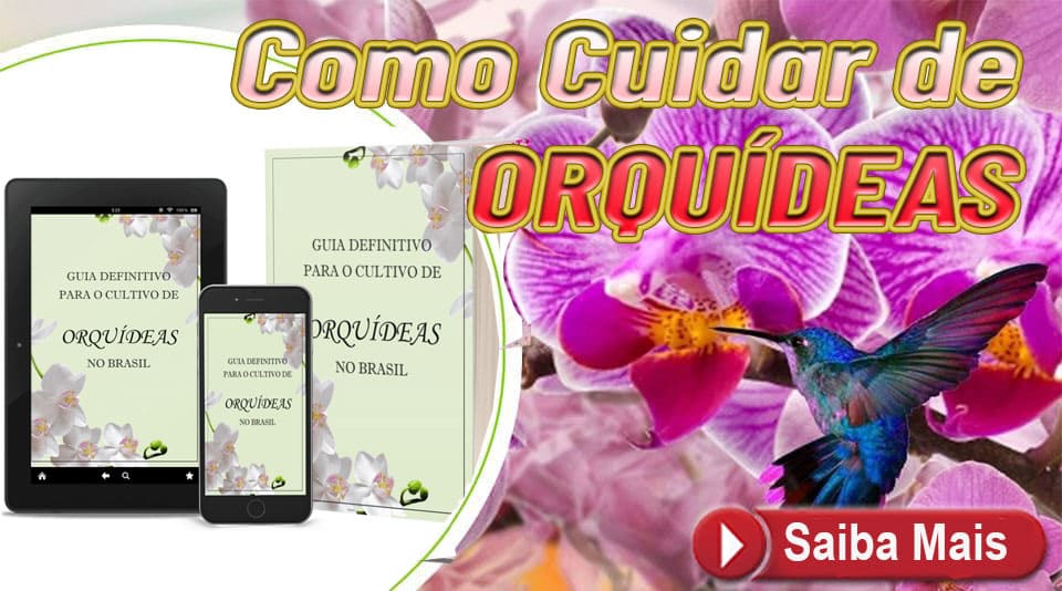 Guia Definitivo Das Orquídeas